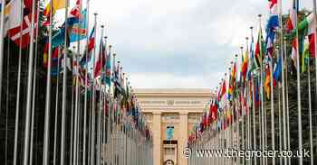 The upcoming UN Food Summit has been hijacked by wealthy corporations and their food agenda - The Grocer