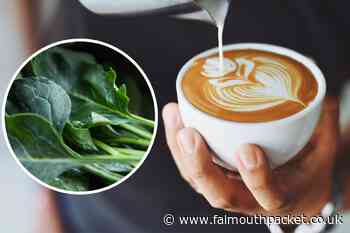 Coffee Hut Helston's 'pay it forward' response to theft of food delivery - Falmouth Packet