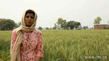 Burdened by debt and unable to eke out a living, many farmers in India turn to suicide