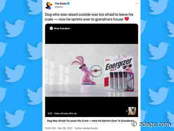 Twitter opens a wholesome videos section where brands can feel protected