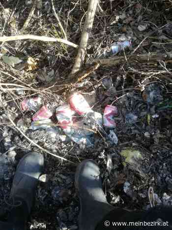 Anzeige bei der Polizei folgte: Dramatische Verschmutzung des Schwarzaufers mit Dosenbier - meinbezirk.at