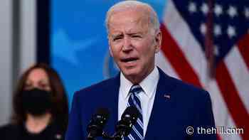 Most Americans approve of Biden's handling of coronavirus, disapprove on immigration: poll