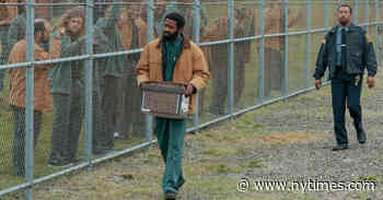 When a Break From TV Brings More TV