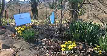 Corona im Kreis Neunkirchen: Inzidenz über 100, aber keine Notbremse - Saarbrücker Zeitung