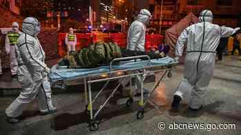 COVID-19 virus origin likely animal to human transmission: WHO report