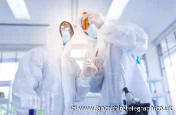 World Health Organisation calls for ‘investigation’ into possibility Covid-19 came from a lab