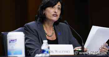 CDC Director Rochelle Walensky fears potential 'impending doom' as COVID-19 cases rise again     - CNET