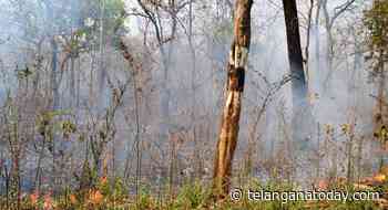 Most forest fires caused by humans: Forest Officer - Telangana Today