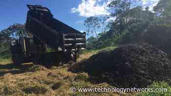 Coffee Waste Can Speed Up Forest Recovery - Technology Networks