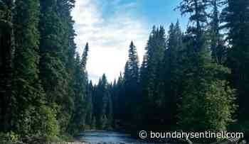 Grand Forks Residents Call for New Forest Act - The Boundary Sentinel