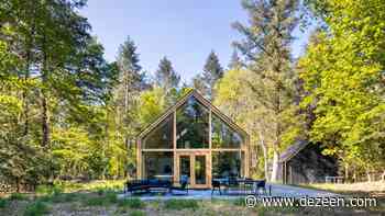 Woonpioneers hides prefabricated Indigo cabin within Dutch forest - Dezeen