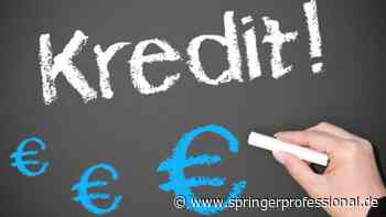 Banken brauchen ein weitreichendes NPL-Management | springerprofessional.de - Springer Professional