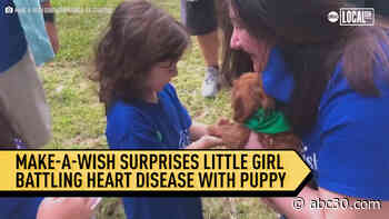 Little Girl Surprised With Puppy After Surviving Life-Threatening Heat Condition Thanks to Make-A-Wish Foundation