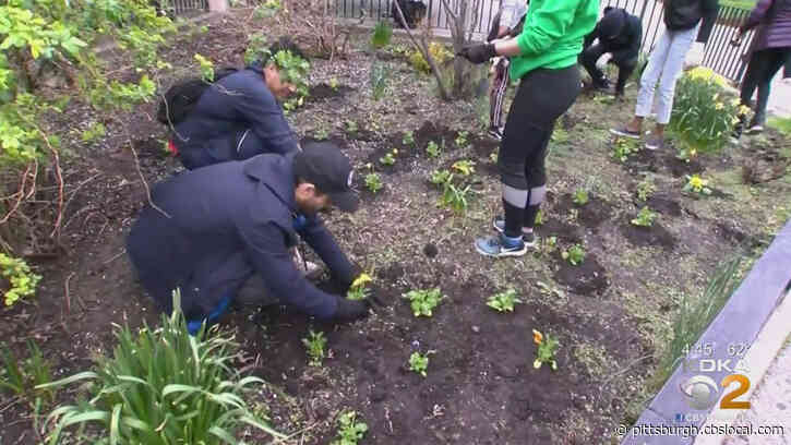 Pittsburgh Parks Conservancy Planning A Month Of Earth Day Activities