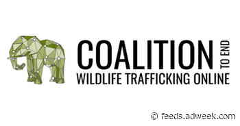 TikTok Joins Coalition to End Wildlife Trafficking Online