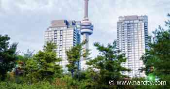 Toronto Real Estate Is Getting So Intense There Are Now 'Bidding Wars' For Rentals - Narcity Canada