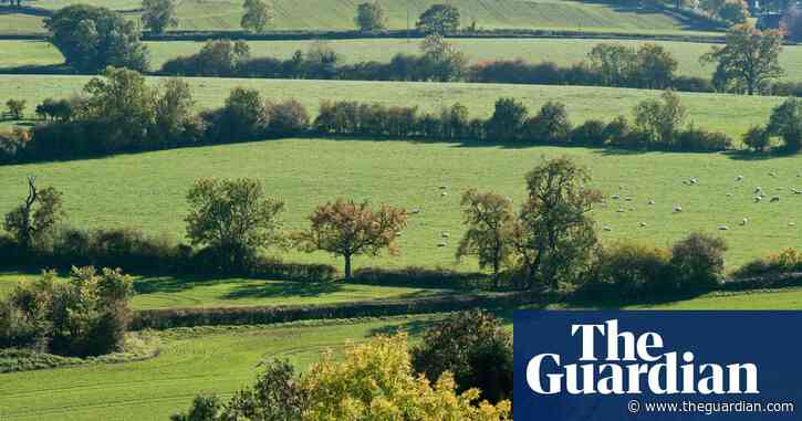 Charlotte Higgins on The Archers: is Darrington an evil parallel realm?