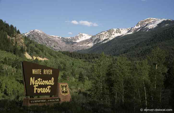 Grizzly Creek Fire Closure Being Lifted In White River National Forest