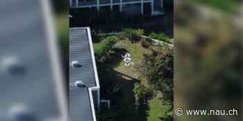 SOS mit Steinen: Verzweifelte Hilferufe nach Terrorattacke in Palma - Nau.ch