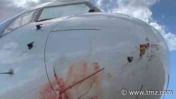 Utah Jazz Make Emergency Landing After Plane Collides With Birds