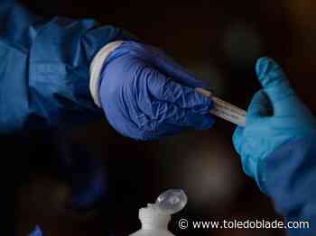 California coronavirus variant found in Lucas County - Toledo Blade