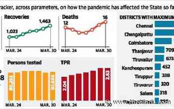 Coronavirus | 2,342 fresh cases, 16 more deaths in T.N. - The Hindu