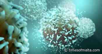Killer T cells boost immunity to coronavirus variants - study - Times of Malta