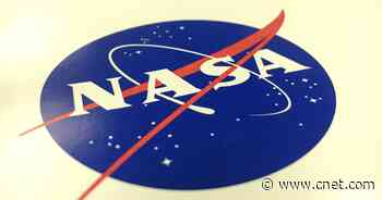 The human heart shrinks while in space, study finds     - CNET