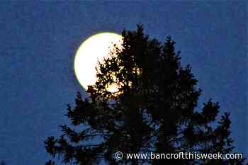 For money or fresh air? - Bancroft This Week