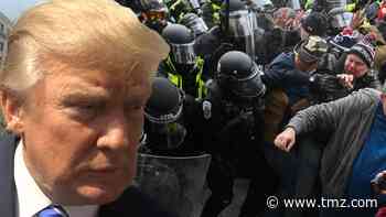 Donald Trump Sued by 2 Capitol Police Officers Over Jan. 6 Insurrection