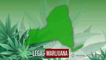 NY Senate passes pot legalization, Assembly vote expected