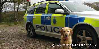 Police warning after dog owner approached by 'suspicious' men - St Helens Star