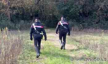 Samarate, preso a pugni nel bosco - La Prealpina