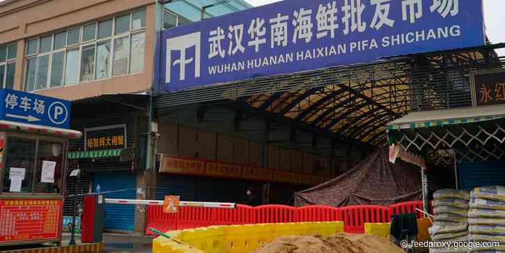 The coronavirus likely traveled 800 miles to Wuhan from farms that breed wild animals for food, a WHO report found