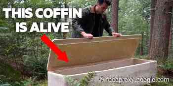 These eco-friendly coffins made of fungi are making death less toxic
