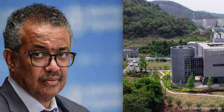 The WHO's leader said its investigation into whether the coronavirus leaked from a Wuhan lab was not 'extensive enough'