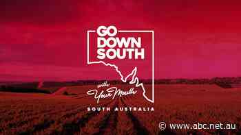 First they wanted to 'CU in the NT' — now they want you to 'Go Down South'
