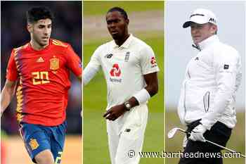 Fish tanks, pucks, lions and chainsaws – freak injuries in sport - Barrhead News