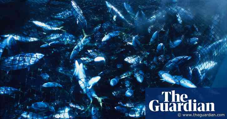 Seaspiracy: Netflix documentary accused of misrepresentation by participants