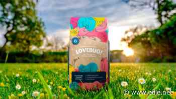 Mars Petcare debuts insect-based cat food and packaging with less plastic