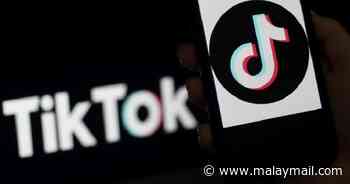 TikTok will soon let uses create playlists - Malay Mail