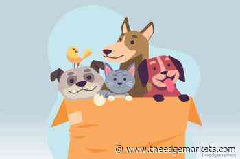 Listicle: Tech gadgets for pet care - The Edge Markets MY