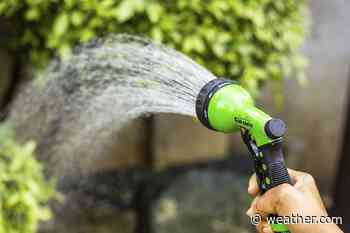 10 Garden Gadgets You Need For Spring | The Weather Channel - Articles from The Weather Channel | weather.com - The Weather Channel