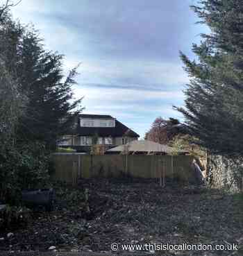 Ickenham restaurant fined £10,000 for cutting down two trees