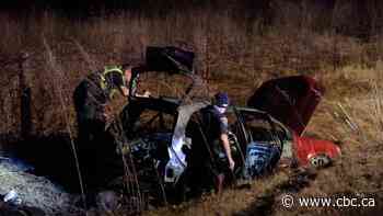 Hamilton man, 29, arrested after police chase ends with burning car in ditch on Highway 6