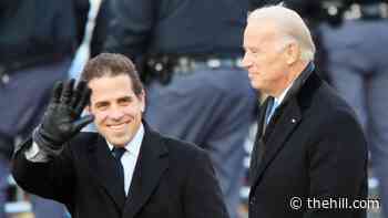 Hunter Biden blasts Trump in new book: 'A vile man with a vile mission'