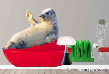 Design me home: arredatori in erba con la Triennale - Attività varie, Eventi e attività per bambini, Laboratori e corsi per bambini a Milano - Vivimilano - Vivimilano