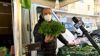 O' CIRIFUOGLIO: IL PRINCIPE DELLA PIZZA CON L'ERBA I SEGRETI DELLA TRADIZIONE PASQUALE - - Prima Tivvù