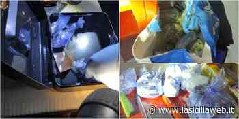 Forte odore di "erba", i poliziotti scoprono la droga nel garage - lasiciliaweb | Notizie di Sicilia