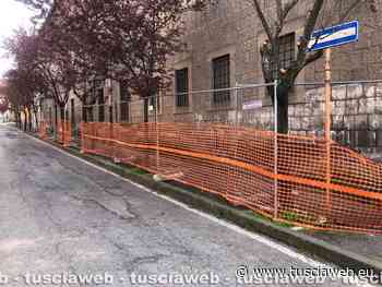 "Parola d'ordine: "Mai più un filo d'erba fuori posto in città", ma in quale citta?" - Tuscia Web